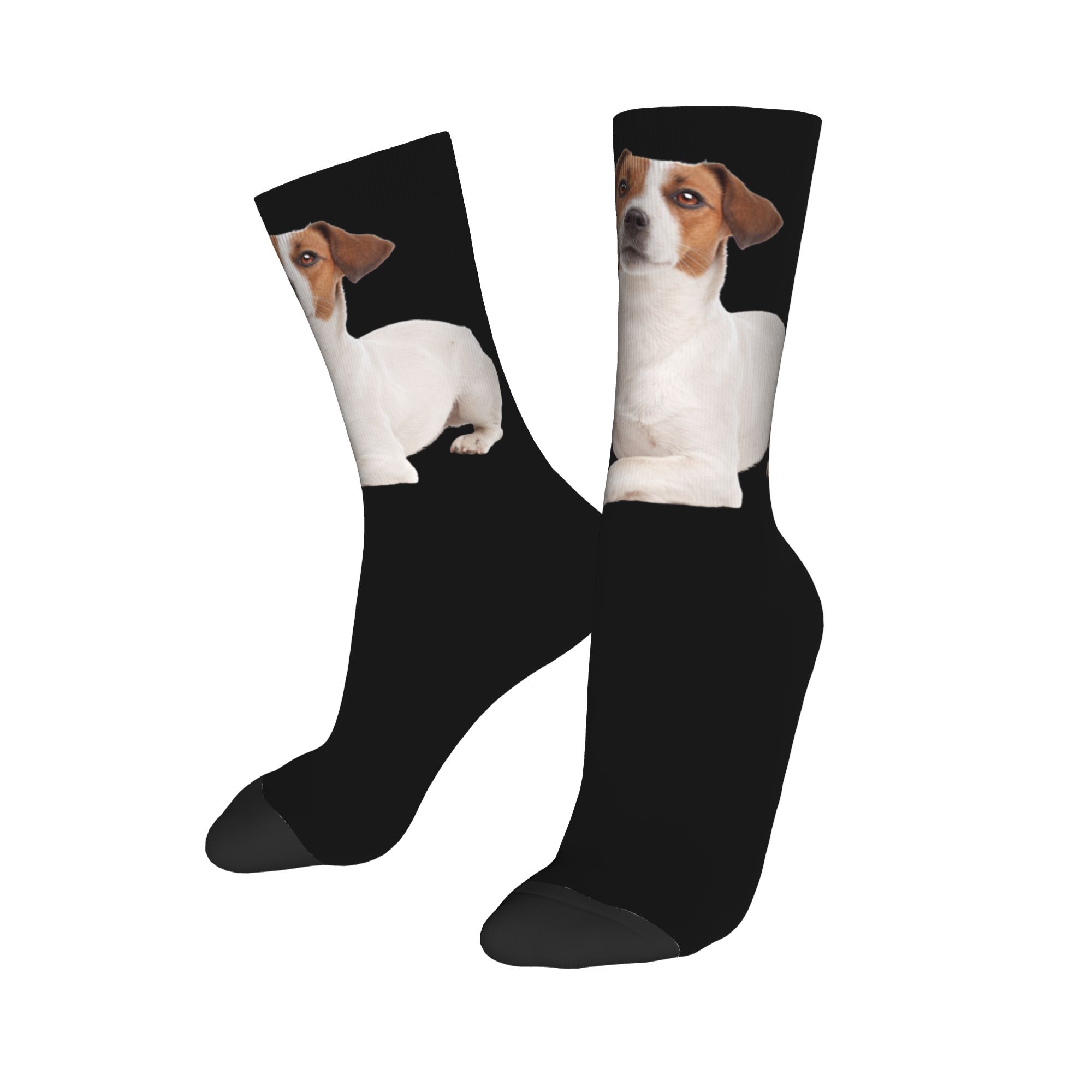 Custom Jack Russell Terrier Do - Dress Sock Men incelemesi ve fiyatı